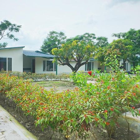 Chuharpur Sukoon - A Wellness Resort, Uttarakhand מראה חיצוני תמונה