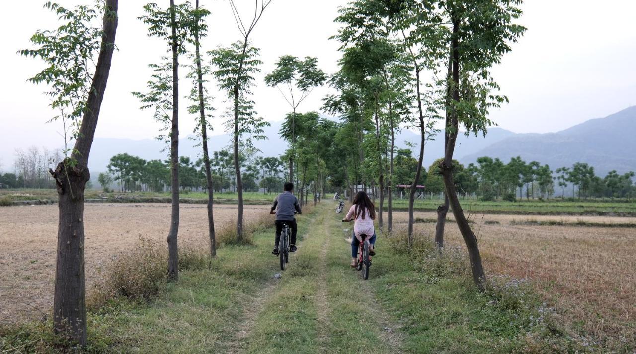 Chuharpur Sukoon - A Wellness Resort, Uttarakhand מראה חיצוני תמונה